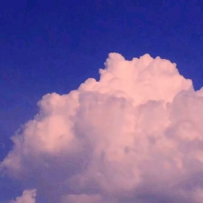 pg电子下载网址截图