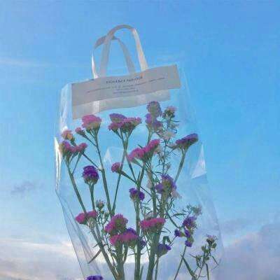 乐鱼app登录入口下载手机版