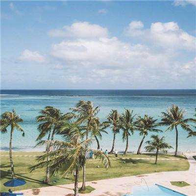 炸金花单机游戏app下载